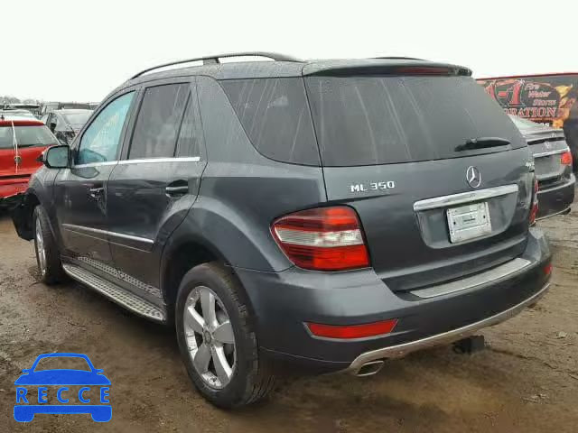 2010 MERCEDES-BENZ ML 350 4MA 4JGBB8GB7AA596644 Bild 2