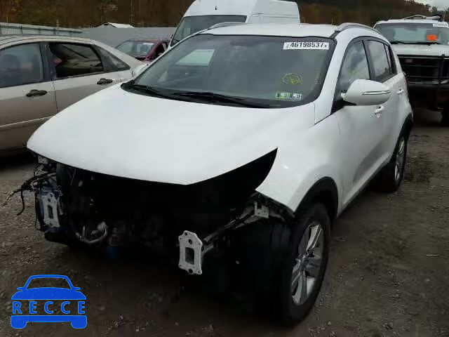 2012 KIA SPORTAGE B KNDPB3A21C7333748 зображення 1