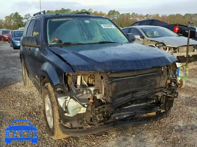 2009 FORD ESCAPE HYB 1FMCU49389KD12022 image 0