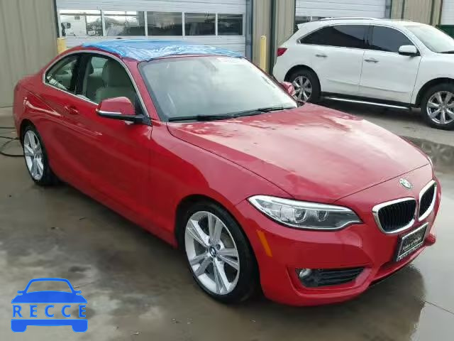 2014 BMW 228 I WBA1F5C57EV255629 зображення 0