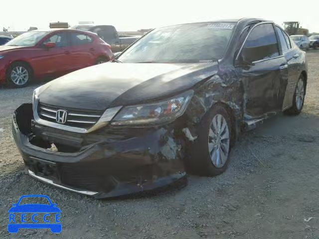 2013 HONDA ACCORD EXL 1HGCR2F89DA059500 Bild 1