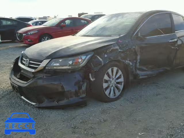 2013 HONDA ACCORD EXL 1HGCR2F89DA059500 Bild 8