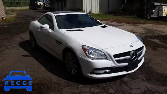 2016 MERCEDES-BENZ SLK 300 WDDPK3JA8GF119364 image 0