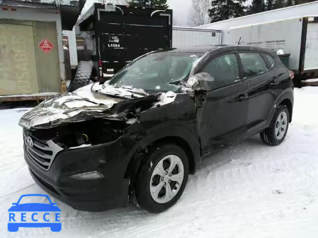 2017 HYUNDAI TUCSON SE KM8J2CA44HU519277 image 1