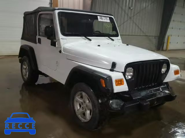 2003 JEEP WRANGLER C 1J4FA39S23P311531 image 0