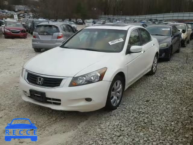 2010 HONDA ACCORD EXL 1HGCP3F80AA026344 image 1