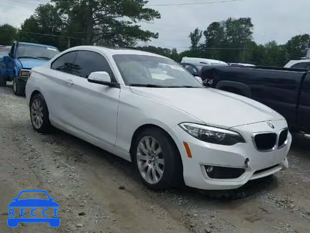 2015 BMW 228I WBA1F5C52FV256561 зображення 0