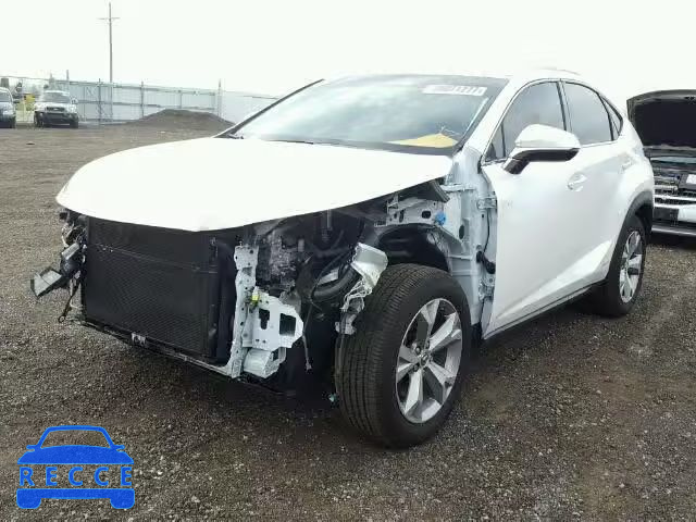 2017 LEXUS NX 300H JTJBJRBZ9H2054299 image 1