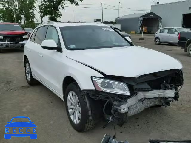 2013 AUDI Q5 WA1LFCFP5DA101062 image 0