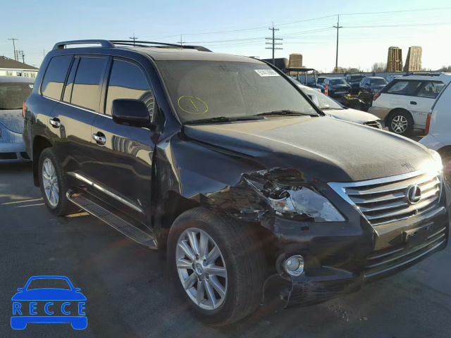 2009 LEXUS LX 570 JTJHY00W194021717 image 0