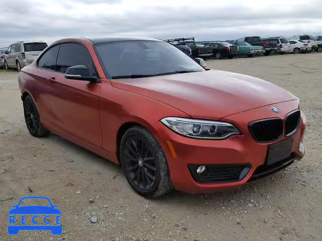 2015 BMW 228 I WBA1F5C54FV256965 Bild 0