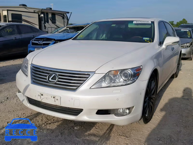 2012 LEXUS LS 460L JTHGL5EF8C5046780 зображення 1