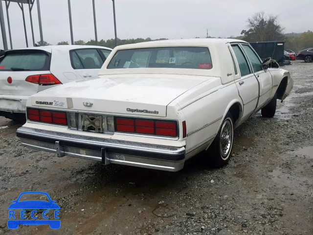 1988 CHEVROLET CAPRICE CL 1G1BU51H2JA136553 image 3