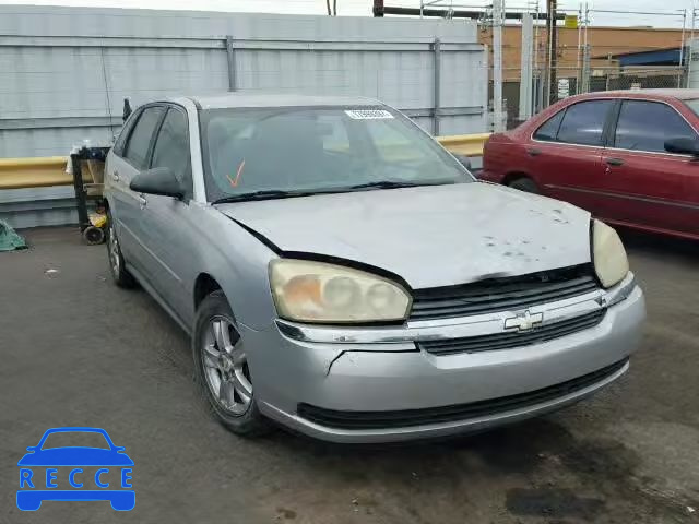 2005 CHEVROLET MALIBU MAX 1G1ZT64865F223092 Bild 0