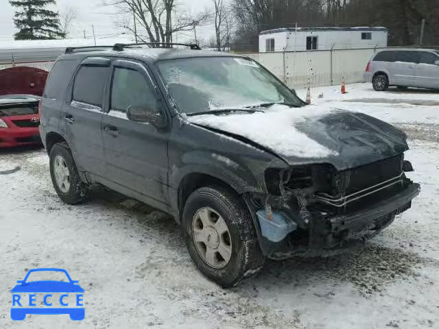 2004 FORD ESCAPE XLT 1FMYU03104DA14356 Bild 0