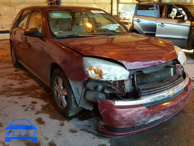 2005 CHEVROLET MALIBU MAX 1G1ZT62855F296182 зображення 0