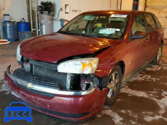 2005 CHEVROLET MALIBU MAX 1G1ZT62855F296182 image 1