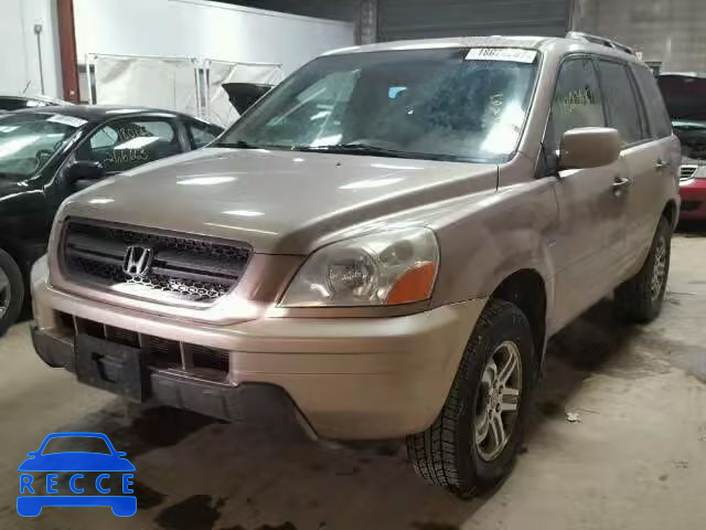 2004 HONDA PILOT EXL 2HKYF18534H614556 image 1