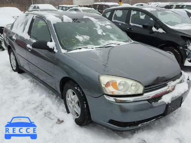 2005 CHEVROLET MALIBU LS 1G1ZT54855F234207 зображення 0