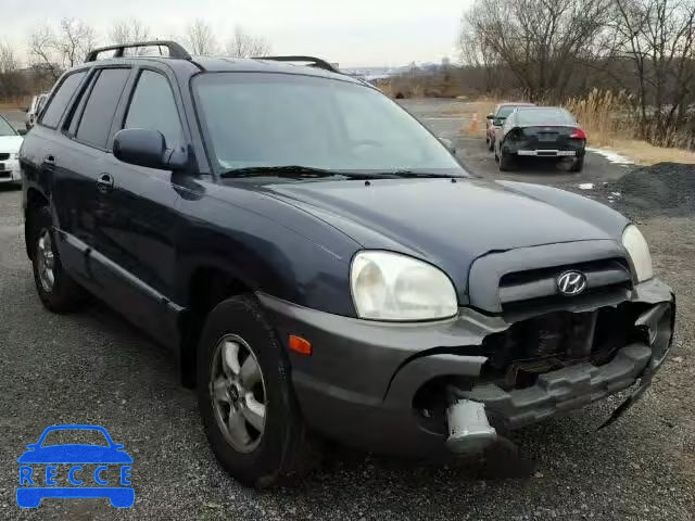 2005 HYUNDAI SANTA FE G KM8SC13D75U954390 зображення 0