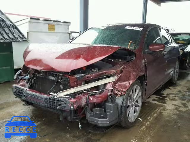 2015 HONDA ACCORD SPO 1HGCR2F50FA152902 image 1