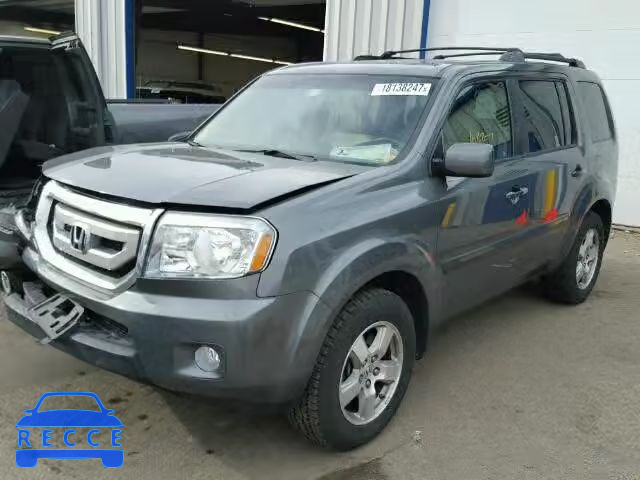 2009 HONDA PILOT EXL 5FNYF38699B007717 image 1