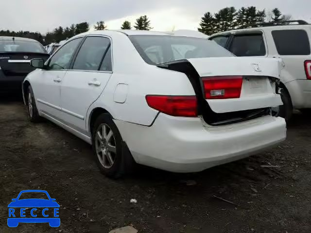 2005 HONDA ACCORD EX 1HGCM66565A047558 Bild 2