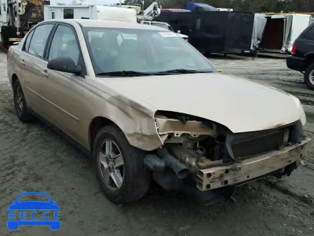 2005 CHEVROLET MALIBU LS 1G1ZT548X5F178975 зображення 0