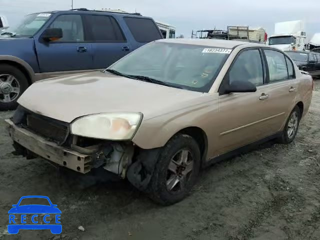 2005 CHEVROLET MALIBU LS 1G1ZT548X5F178975 image 1