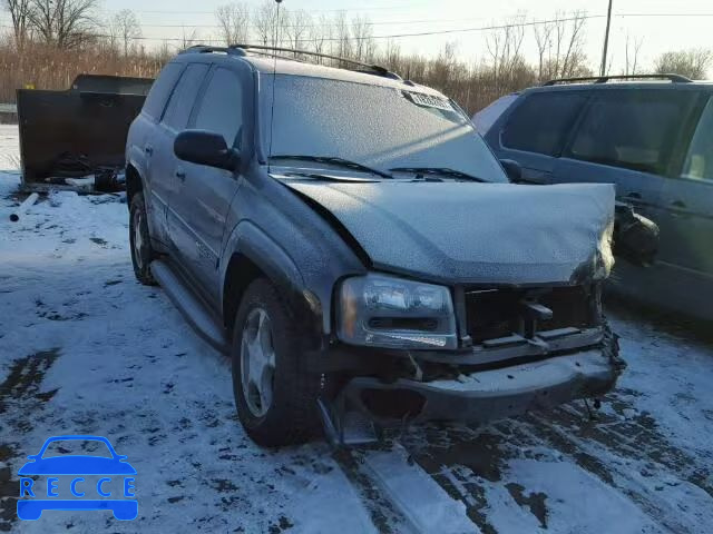 2004 CHEVROLET TRAILBLAZE 1GNDT13SX42153255 image 0