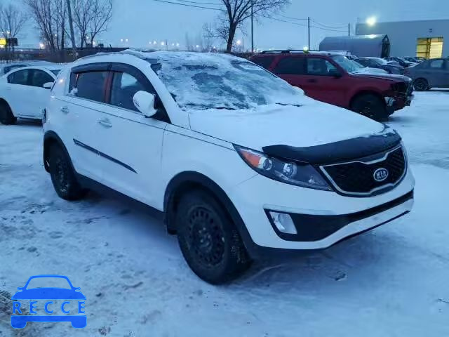 2011 KIA SPORTAGE E KNDPCCA68B7165475 image 0