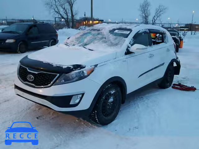 2011 KIA SPORTAGE E KNDPCCA68B7165475 image 1