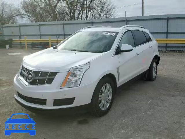 2011 CADILLAC SRX LUXURY 3GYFNAEY7BS533677 зображення 1