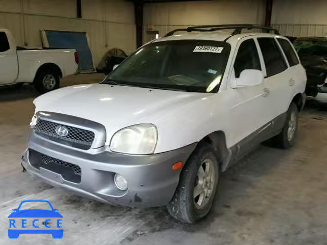 2003 HYUNDAI SANTA FE G KM8SC13D93U391906 зображення 1