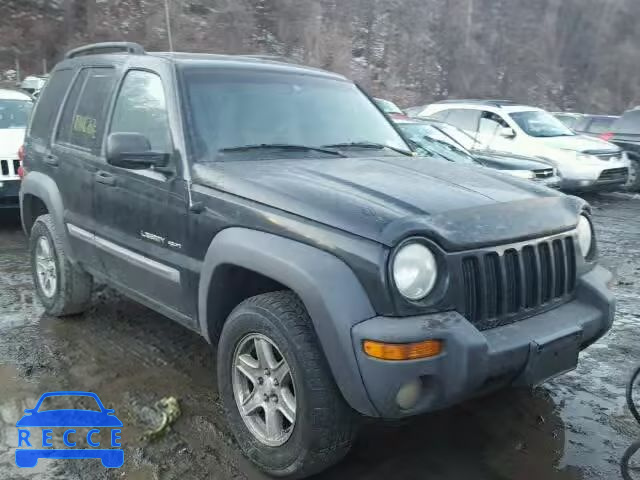 2002 JEEP LIBERTY SP 1J4GL48K32W254444 зображення 0