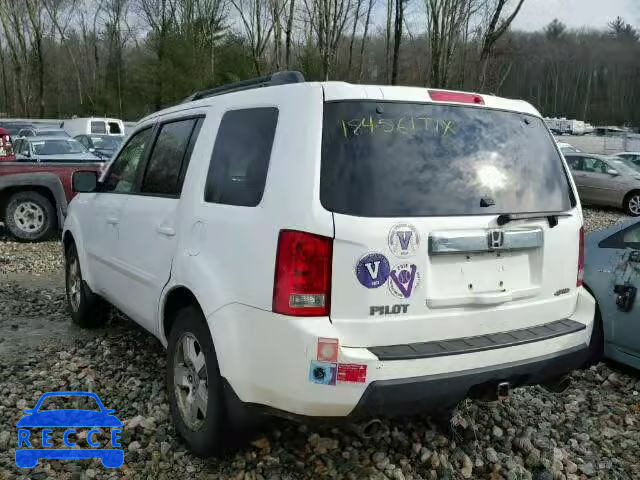 2009 HONDA PILOT EXL 5FNYF48679B051866 зображення 2