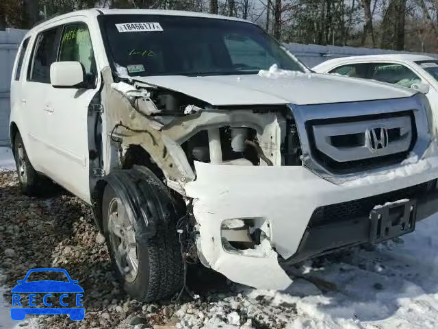 2009 HONDA PILOT EXL 5FNYF48679B051866 зображення 8