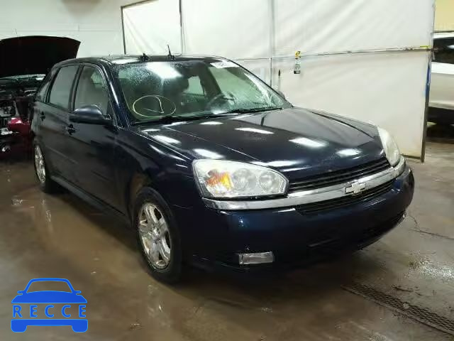 2005 CHEVROLET MALIBU MAX 1G1ZU64885F229022 Bild 0