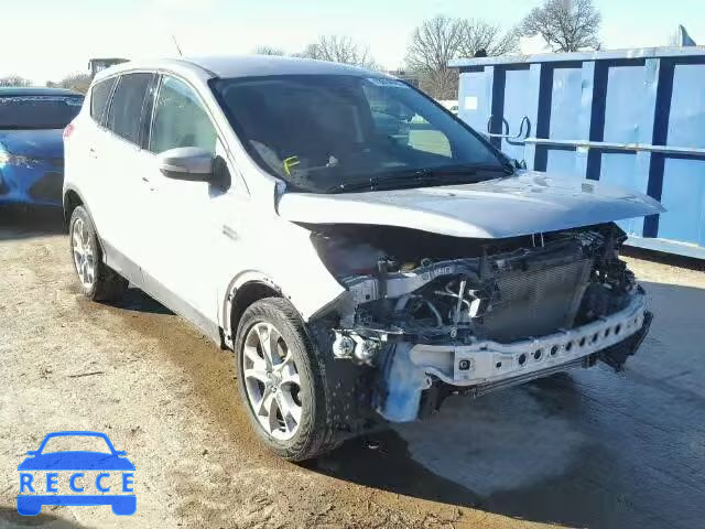 2013 FORD ESCAPE SEL 1FMCU0HXXDUB99121 зображення 0