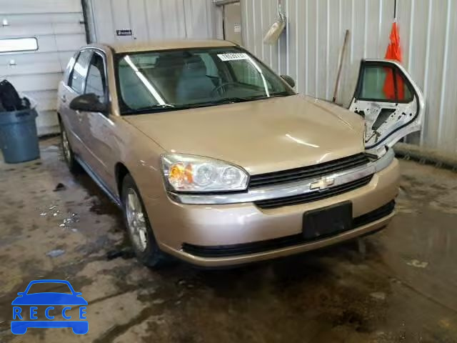 2005 CHEVROLET MALIBU MAX 1G1ZT62875F183513 Bild 0