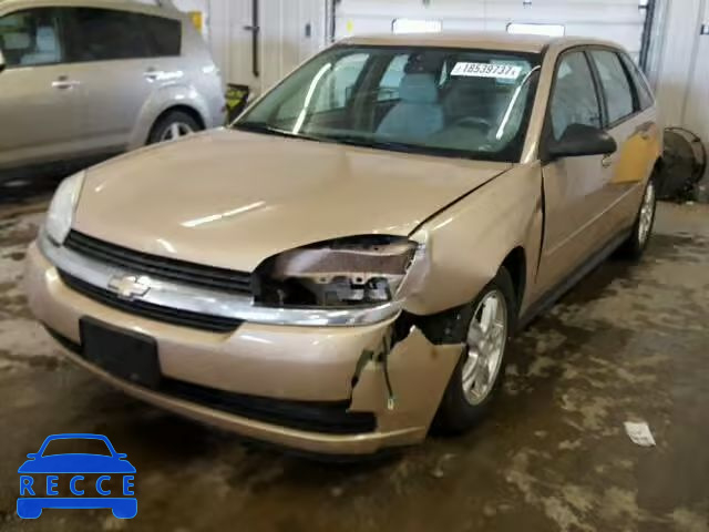 2005 CHEVROLET MALIBU MAX 1G1ZT62875F183513 image 1