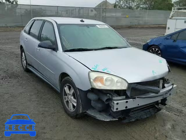 2004 CHEVROLET MALIBU MAX 1G1ZT64834F186839 image 0