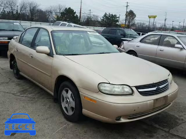 2002 CHEVROLET MALIBU LS 1G1NE52J12M516527 image 0