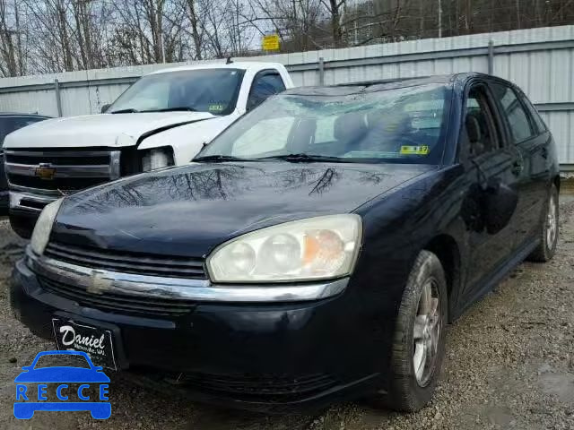 2004 CHEVROLET MALIBU MAX 1G1ZT64894F145146 зображення 1