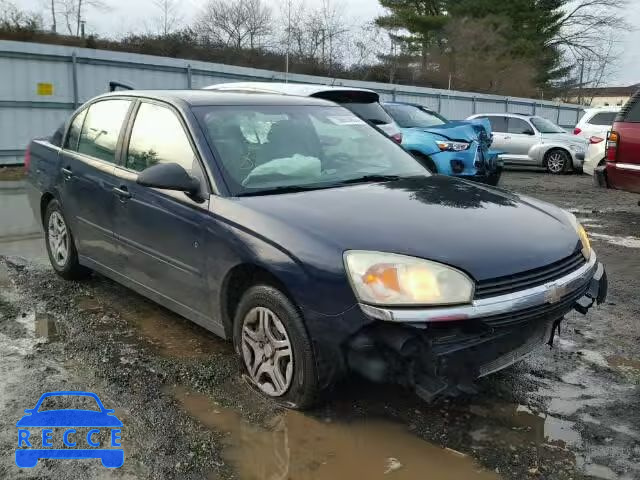 2004 CHEVROLET MALIBU 1G1ZS54F04F182193 image 0