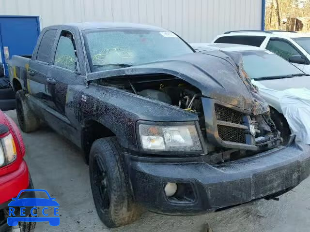 2011 DODGE DAKOTA SLT 1D7RW3GP1BS636434 зображення 0