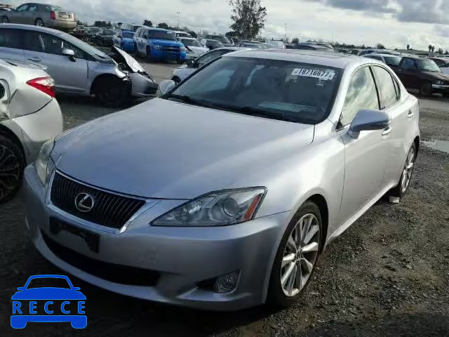 2009 LEXUS IS 250 JTHBK262195098042 image 1