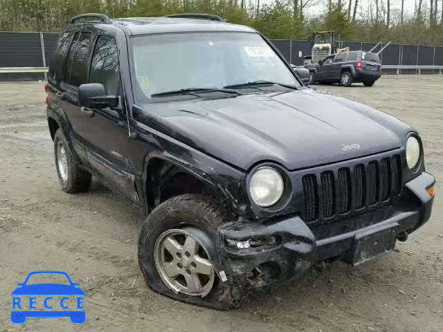 2002 JEEP LIBERTY LI 1J4GL58K92W304091 Bild 0