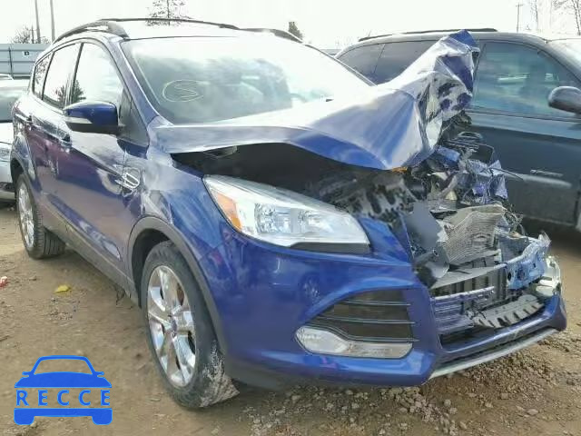 2013 FORD ESCAPE SEL 1FMCU0H99DUA03560 зображення 0