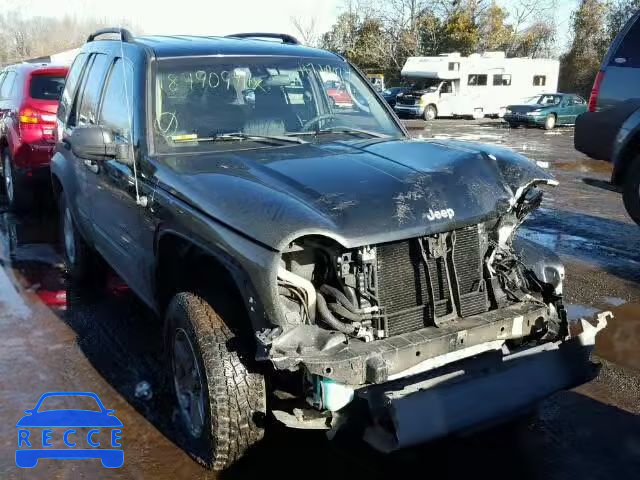 2003 JEEP LIBERTY SP 1J4GL48K33W660967 image 0